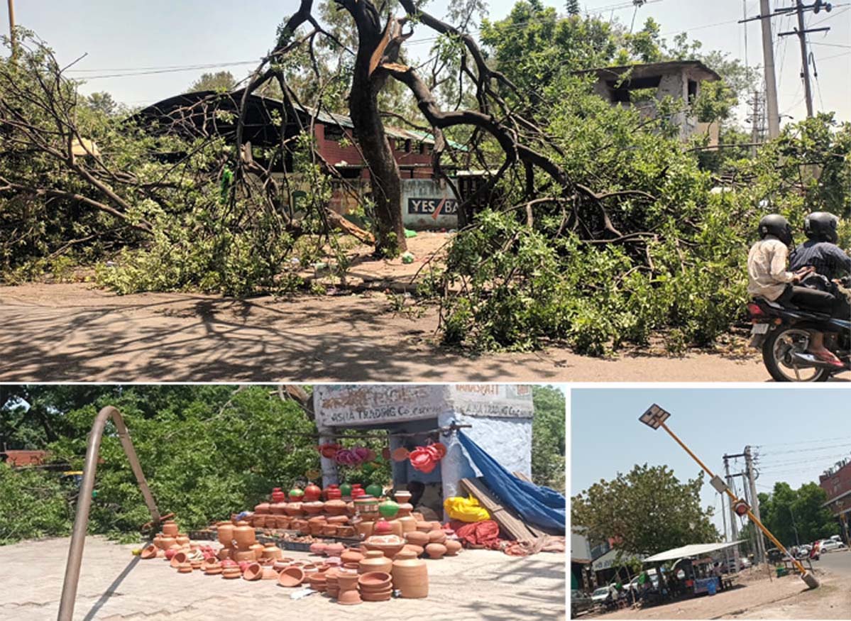 Trees, electricity and street light poles fell due to strong winds and gusts